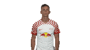 Rb Leipzig No Sticker by Bundesliga