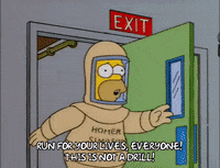 homer simpson episode 10 GIF