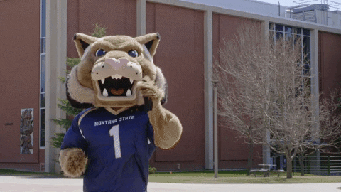 Happy Montana State Bobcats GIF by Montana State University