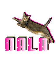 Tabby Cat Sticker