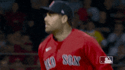 Boston Red Sox Baseball GIF by MLB