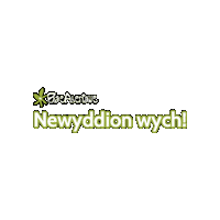 Welsh Abertawe Sticker by SwanseaBay