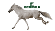 Bedmax horse bedmax horsebedding Sticker