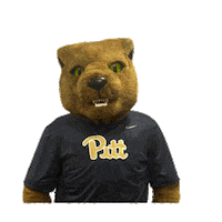College Sports Panthers Sticker by College Colors Day