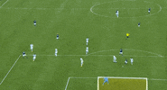 save tally hall GIF by Orlando City SC