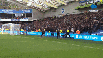 Happy Celebration GIF by MolaTV
