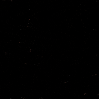 Black Woman Biden GIF by Creative Courage