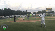 gastonia grizzlies summer GIF by Coastal Plain League