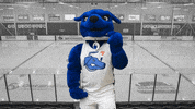 Ontariotech GIF by Ontario Tech Ridgebacks