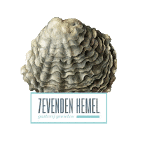 7evendenhemel denbosch s-hertogenbosch korteputstraat korteput Sticker