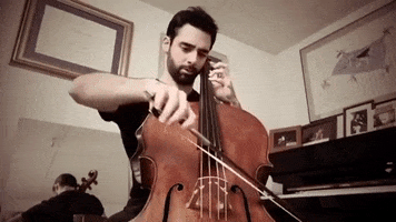 Cello Pabloferrandez GIF by bambera