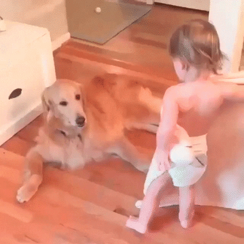 bedtime GIF