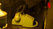 Sg Netflixturkiye GIF by NETFLIX