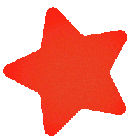 Star Orange Sticker
