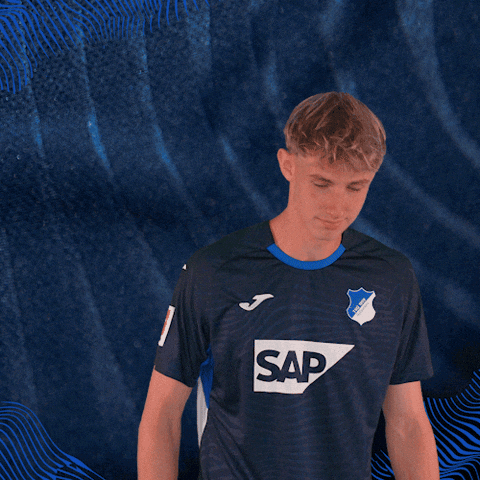 Sport Bundesliga GIF by TSG Hoffenheim