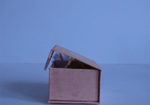 jack in the box GIF
