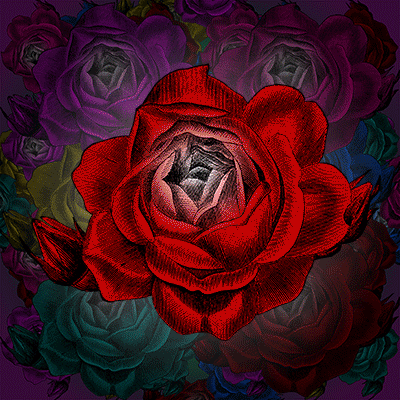 Sub Rosa Wink GIF by RetroCollage