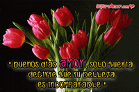 incomparablyme GIF