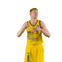 game on show Sticker by easyCredit Basketball Bundesliga