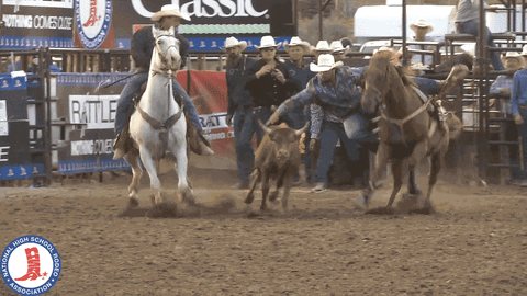 NHSRARodeo giphyupload rodeo barrel racing nhsra GIF