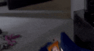 don't wanna know GIF by Maroon 5