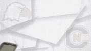 Cnfb19 Marcuswilliams GIF by Carson-Newman Athletics