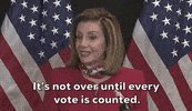 Nancy Pelosi GIF by Election 2020