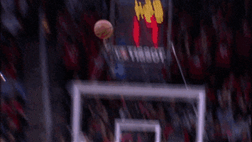 james harden GIF by NBA