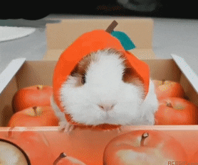 marketingja giphyupload GIF