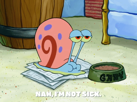 season 8 episode 13 GIF by SpongeBob SquarePants