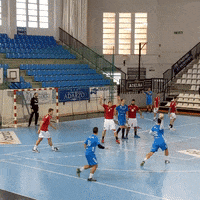 bmSinFin goal gol balonmano fin GIF