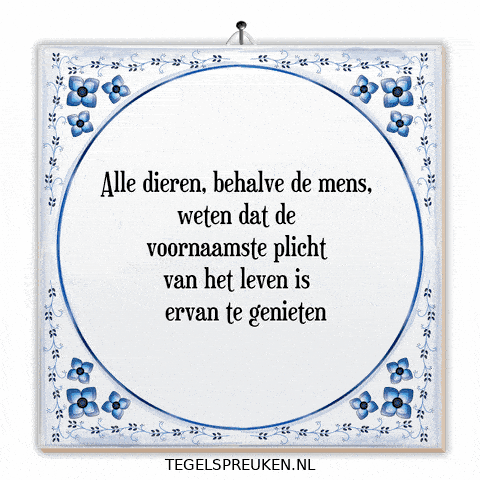 Moment Wijsheid GIF by Tegelspreuken.nl