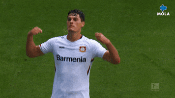 Patrik Schick Reaction GIF by MolaTV