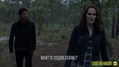 tnt cockblock GIF by Good Behavior