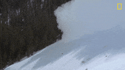 Oh No Snow GIF by National Geographic Channel