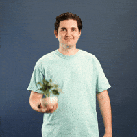 Gift Smile GIF by Showit