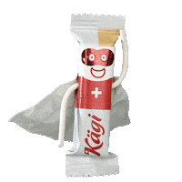 Happy Fly Sticker by Kägi