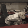 drake mascot GIF by DrakeUGriff