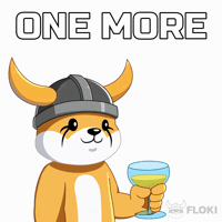 One More Crypto GIF by FLOKI