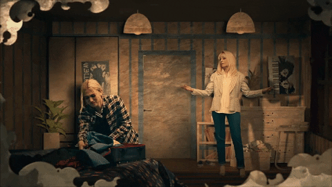 Dave Meyers GIF by P!NK