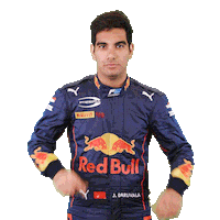 Red Bull Drum Sticker by Prema Team