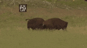 yellowstone GIF by National Geographic Channel