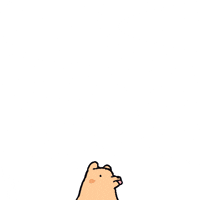 Dog 강아지 GIF