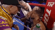 toprank fight boxing fighting champion GIF