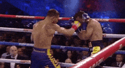 toprank fight boxing fighting champion GIF