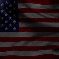Usa America GIF by Independent National Convention 2024