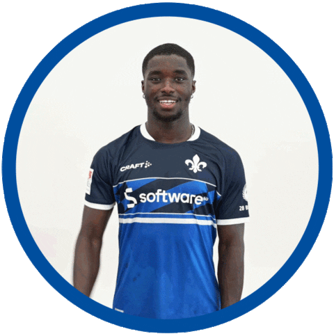 Hallo 2 Bundesliga Sticker by SV Darmstadt 1898 e.V.