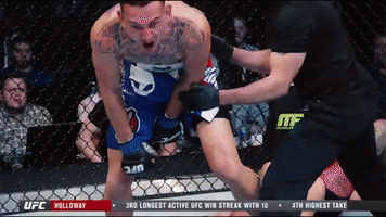 ufc 212 mma GIF