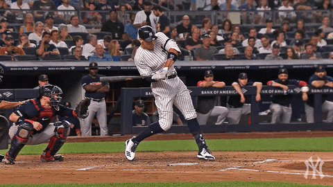 New York Sport GIF by New York Yankees