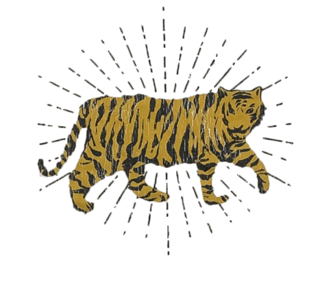 Tiger Sticker by Sweet Baton Rouge